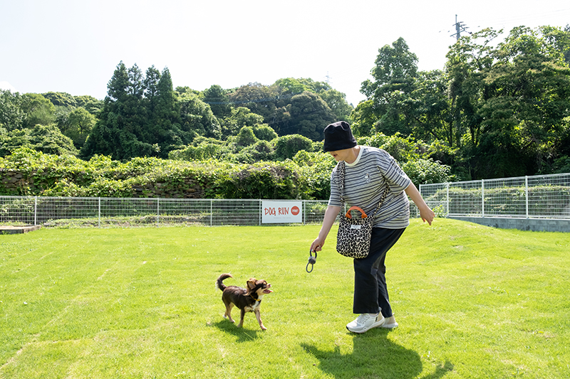 ドッグラン
