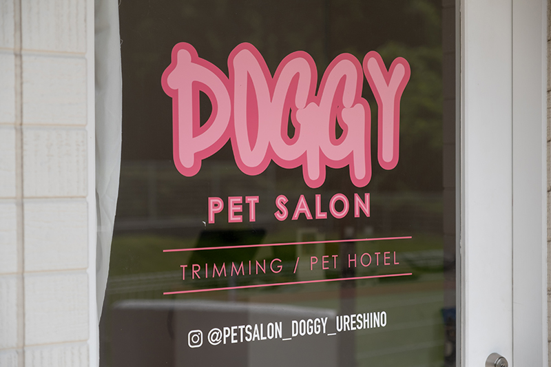 PET SALON DOGGY